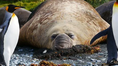 minimax cu 300 Combination: Extreme Reliability in an Extreme Location