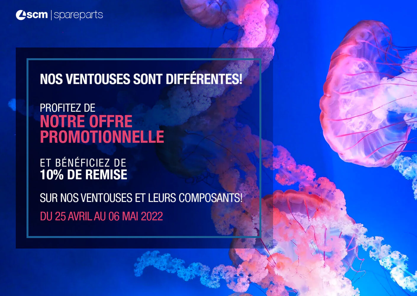 Offre promotionnelle sur nos ventouses et leurs composants