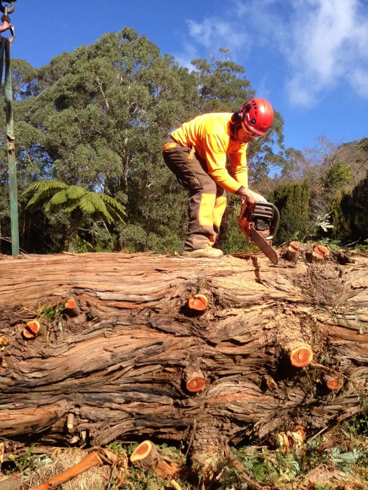 A Table Like No Other
